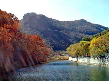 澳门期期准免费精准，野花香社区